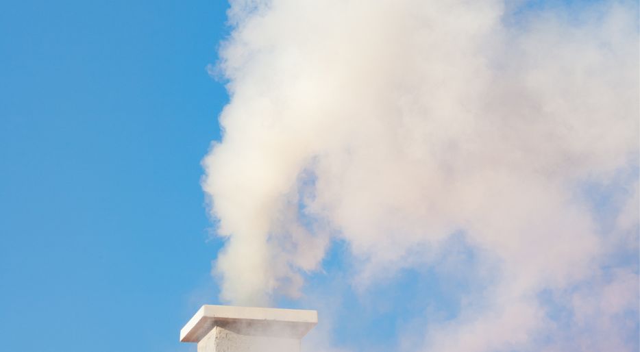 Utilizar leña seca y no resinosa para la chimenea