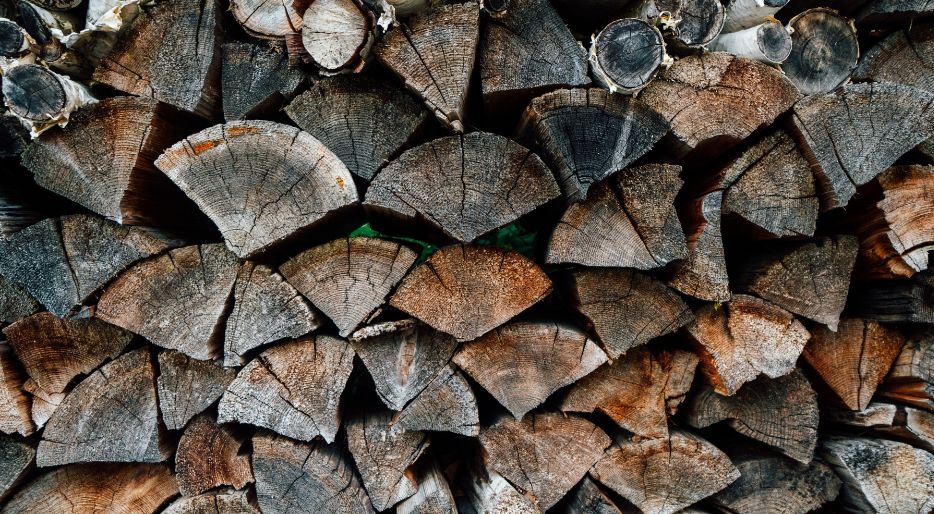 Estufa de leña con horno con ambiente